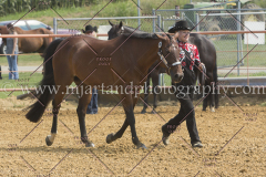 PCSC081615_5126