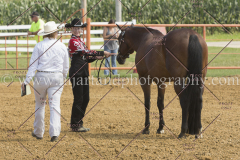 PCSC081615_5141