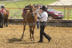 PCSC081615_5175