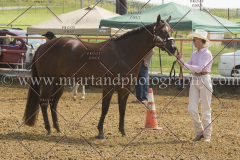PCSC081615_5203