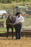 PCSC081615_5256