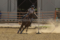 PCSC081615_6603