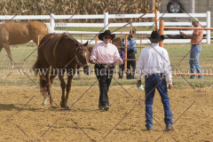PCSC092015_1086