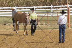 PCSC092015_1113