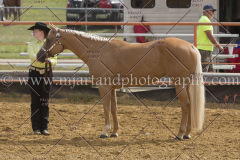 PCSC092015_1127