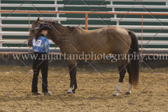 PCSC092015_1128