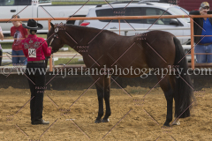 PCSC092015_1140