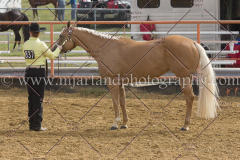PCSC092015_1143
