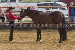 PCSC092015_1149