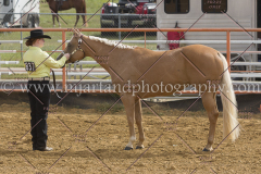 PCSC092015_1153