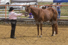 PCSC092015_1252