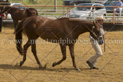 PCSC091915_7698