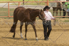 PCSC091915_7747
