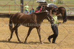 PCSC091915_7764