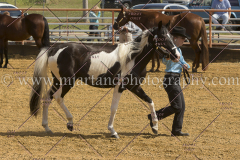 PCSC091915_7779