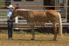 PCSC091915_7785