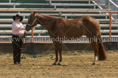PCSC091915_7789