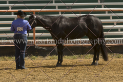 PCSC091915_7808