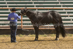 PCSC091915_7812