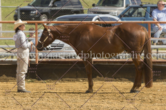 PCSC091915_7815