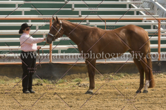 PCSC091915_7819