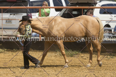 PCSC091915_7903