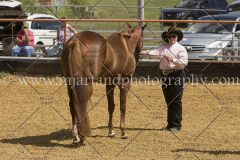 PCSC091915_7974