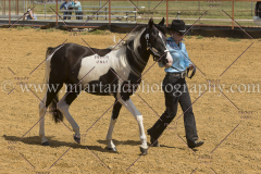 PCSC091915_8041