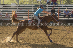 PCSC091915_9397