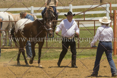 PCSC061816_5185