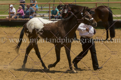 PCSC061816_5191