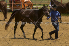 PCSC061816_5206