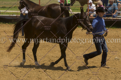 PCSC061816_5207