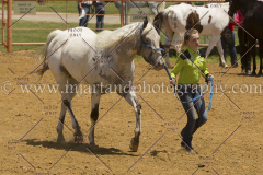 PCSC061816_5215