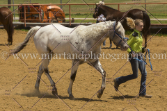 PCSC061816_5217