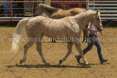 PCSC061816_5228