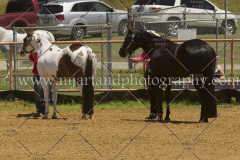 PCSC061816_5229