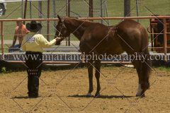 PCSC061816_5231