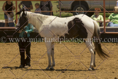 PCSC061816_5236