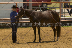 PCSC061816_5239