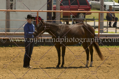 PCSC061816_5253
