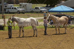 PCSC061816_5260