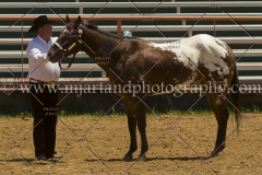 PCSC061816_5269