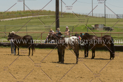 PCSC061816_5274