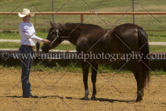 PCSC061816_5280