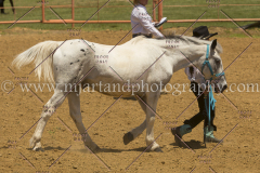 PCSC061816_5301