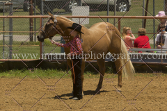 PCSC061816_5304