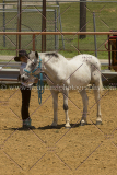 PCSC061816_5317