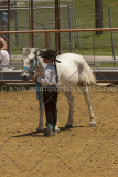 PCSC061816_5328