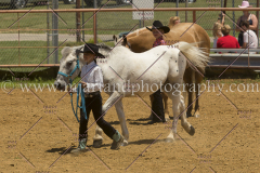 PCSC061816_5338